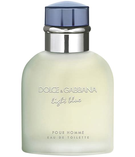 dolce gabbana light blue dillards